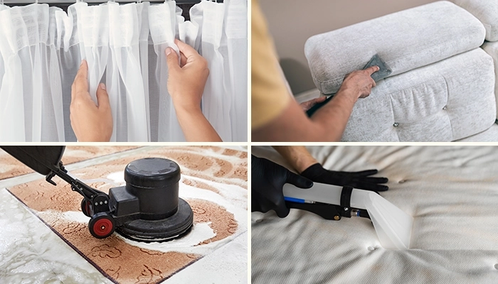 Reinigung Polster, Teppiche, Möbel